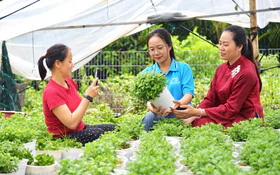 Quảng Ngãi: Mở rộng cơ hội khởi nghiệp từ nền tảng số