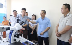 Tuyên Quang tăng cường năng lực kiểm tra chất lượng mật ong bạc hà