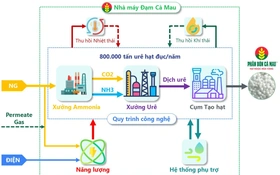 Nhà máy Đạm Cà Mau vươn Top 10% nhà máy urê hiệu quả nhất toàn cầu