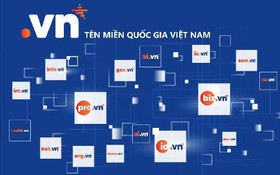 Thông báo kết quả lựa chọn tổ chức hành nghề đấu giá tài sản để thực hiện đấu giá quyền sử dụng tên miền quốc gia Việt Nam “.vn”