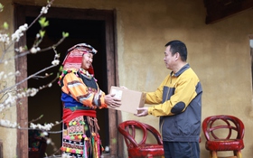 Bưu điện Việt Nam bảo đảm lưu thông hàng hóa dịp cao điểm Tết Bính Ngọ