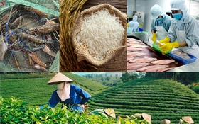Quyết định 224/QĐ-TTg: Đưa tài sản trí tuệ thành nguồn lực của nền kinh tế tri thức