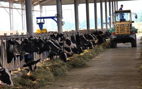 Tầm nhìn chiến lược của Nghị quyết 57 cho nông nghiệp Việt Nam: Sơn La đột phá trong phát triển nông nghiệp công nghệ cao