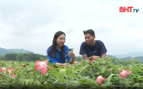 Tuổi trẻ Hà Tĩnh tiên phong chuyển đổi số