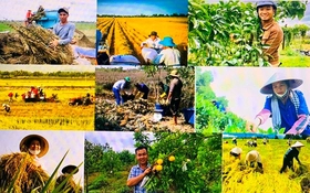 Thông tin nghiệm thu đề tài độc lập cấp quốc gia, mã số ĐTĐL.CN-71/21