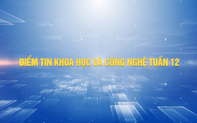 Điểm tin Khoa học và Công nghệ tuần 12