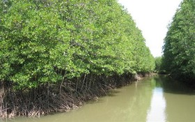 Thông tin kết quả thực hiện nhiệm vụ KH&CN cấp quốc gia