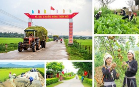 Nông thôn mới 2026 - 2030: Bước ngoặt tích hợp, mở đường phát triển xanh và số