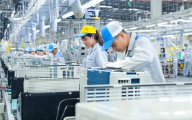 Thiết lập chuẩn mực mới cho chất lượng: Hành trình chuyển mình của doanh nghiệp Việt