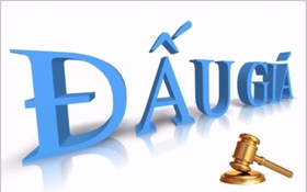 Thông báo đấu giá quyền sử dụng mã, số viễn thông