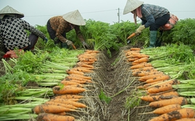 Nghiệm thu nhiệm vụ KH&CN cấp quốc gia mã số ĐTĐL.CN-88/21