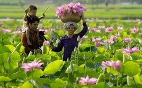 Đồng Tháp đón 3,2 triệu khách, bứt tốc nhờ chuyển đổi số