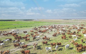 Kết quả thực hiện nhiệm vụ KH&CN độc lập cấp quốc gia, mã số ĐTĐL.CN-49/16 