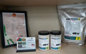 Thảo dược thay thế kháng sinh giúp phòng ngừa tiêu chảy ở lợn con