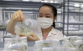 Khoa học, công nghệ thành “đòn bẩy tăng trưởng”: Việt Nam hướng tới tự chủ công nghệ