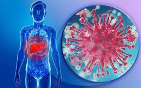 Kết quả thực hiện nhiệm vụ "Nghiên cứu chế tạo vắc xin vô hoạt nhũ dầu đa giá phòng hội chứng giảm đẻ, bệnh viêm gan và rụt mỏ ở thủy cầm"