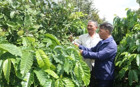 Lan tỏa chuyển đổi số đến người dân vùng dân tộc thiểu số