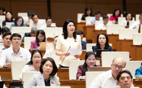 Cần số hóa di sản và cần có nền tảng số quốc gia để phân phối các nội dung về văn hóa