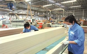 Vì sao năng suất xanh đang trở thành chuẩn mực mới của thị trường?