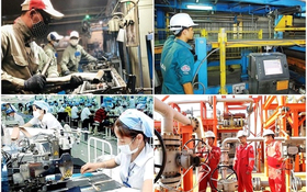 4 nhóm chính sách hỗ trợ doanh nghiệp ứng dụng, đổi mới, chuyển giao công nghệ