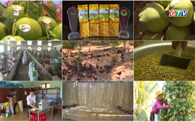 Sở hữu trí tuệ - Nền tảng nâng tầm sản phẩm Gia Lai