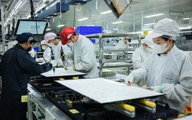 Tạo động lực cho doanh nghiệp khoa học và công nghệ phát triển