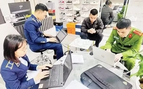 Viet Nam determined to strictly handle all intellectual property rights violations