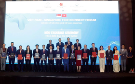 Viet Nam and Singapore discuss five priority areas for cooperation in science, technology, innovation and digital transformation