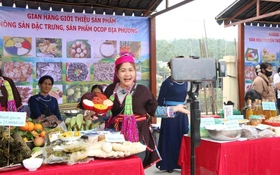 Chuyển đổi số mở hướng tiêu thụ mới cho nông sản Quảng Ninh