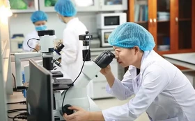 Ministry issues guidelines on scientific integrity and ethics in scientific research