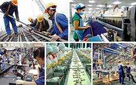 Công bố 8 TTHC mới trong lĩnh vực tiêu chuẩn đo lường chất lượng