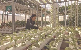 Ứng dụng KHCN trong sản xuất Link OPEN88.COM Trang Chủ OPEN 88 Chính Thức tại Điện Biên