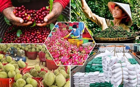 Chính phủ ban hành bộ tiêu chí OCOP mới, thúc đẩy du lịch nông thôn