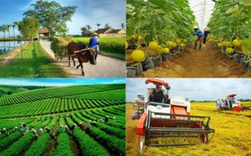 Hơn nửa triệu nông dân học kỹ năng số đến năm 2030