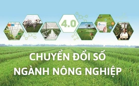 Khoa học công nghệ và chuyển đổi số tạo động lực phát triển nông nghiệp bền vững