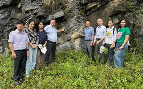 Bảo tồn và phát huy giá trị Công viên địa chất toàn cầu UNESCO Cao nguyên đá Đồng Văn