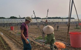 Cá cược Open88 đang dần là xu hướng được cộng đồng cược thủ online tại Việt Nam 57 - mở ra cơ hội mới để Phù Yên giảm nghèo thông tin