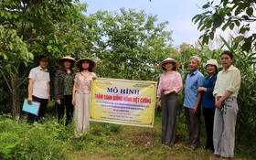 Khoa học, công nghệ và chuyển đổi số - Động lực phát triển nông nghiệp hàng hóa tỉnh Thái Nguyên