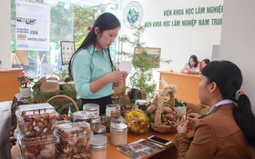 Doanh nghiệp Lâm Đồng được hỗ trợ tới 100 triệu đồng để chuyển đổi số