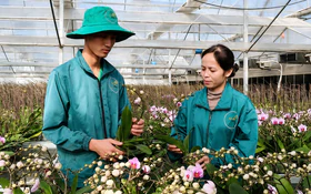 Science, technology and innovation: The new engines of growth