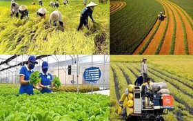 Khoa học, công nghệ nâng cao giá trị nông sản, tăng sức cạnh tranh của ngành nông nghiệp.