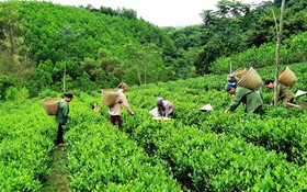 Thông tin kết quả thực hiện nhiệm vụ theo Nghị định thư mã số NĐT/AT/22/02