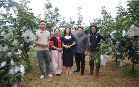 Phần mềm số hóa quản trị hợp tác xã cây ăn quả Sơn La