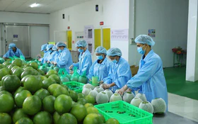Trợ lực từ Nghị quyết 68: Động lực để doanh nghiệp tư nhân nâng tầm chất lượng xuất khẩu