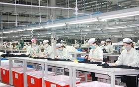 Biến tiêu chuẩn thành "vũ khí" cạnh tranh: Lối đi tất yếu của doanh nghiệp thời hội nhập