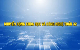 Chuyển động Khoa học và Công nghệ tuần 32