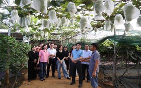 Từ mô hình thực tiễn đến hướng đi mới cho nông nghiệp Lạng Sơn