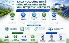 Lâm Đồng hướng tới hình thành mô hình hợp tác xã đổi mới sáng tạo
