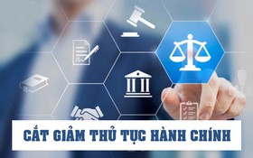 Trả lời kiến nghị của cử tri TP Hải Phòng gửi tới sau Kỳ họp thứ Nhất, Quốc hội khóa XVI 