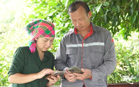 Khoa học, công nghệ mở hướng phát triển kinh tế nông nghiệp vùng cao